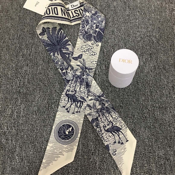 Dior Twilly Scarf - Picture 1 of 3